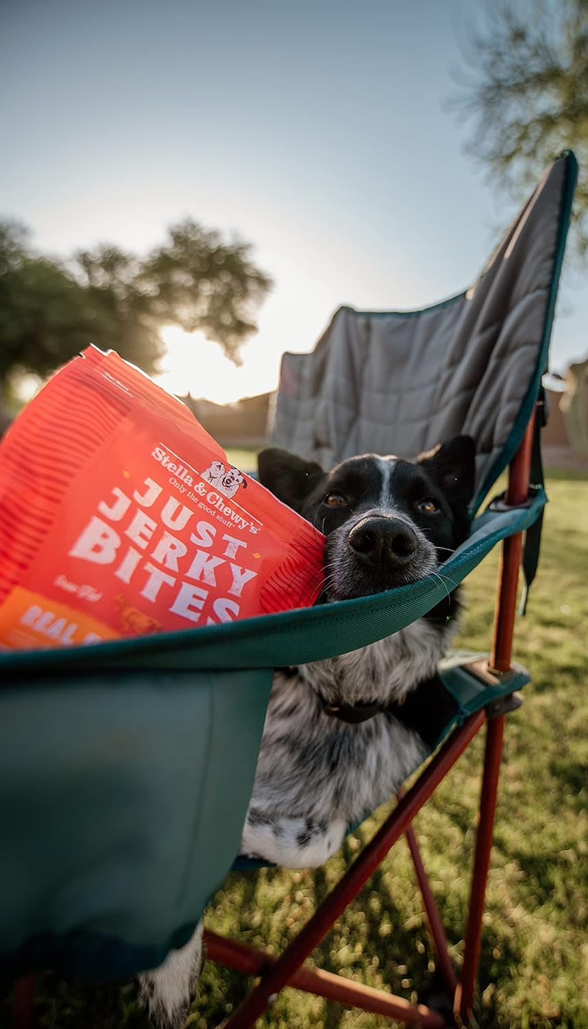 Just Jerky Bites Real Salmon Recipe Dog Treats, 6 Oz. Bag