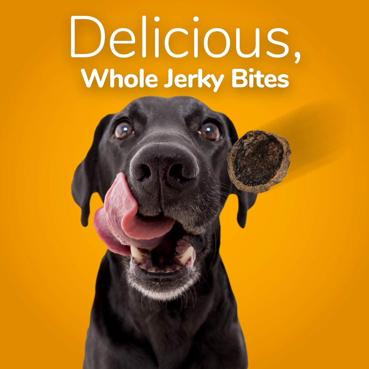 Dog Treats – Whole Jerky Bites – Grilled Bison Dog Treats – Healthy Dog Treats – 5 Ounces