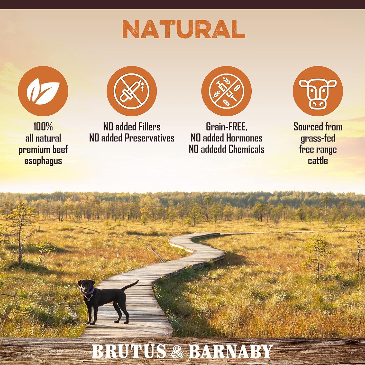 Beef Jerky for Dogs, All Natural Single Ingredient Beef Esophagus Chews, Healthy Beef Flat Gullet Strips, Naturally Occurring Glucosamine & Chondroitin Helps Joint Function, Great for Any Dog Size