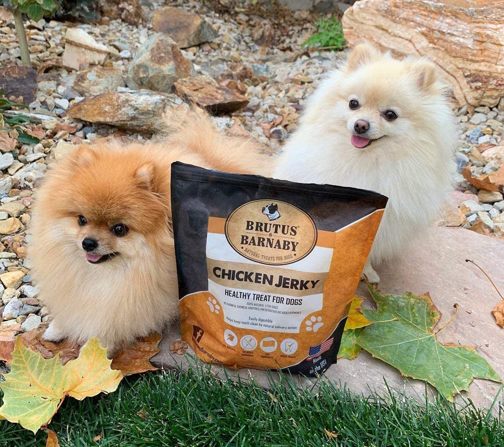 Chicken Jerky Dog Treats- Dehydrated Crunchy USA Premium Fillets, Grain-Free, Preservative-Free, No Fillers. All Natural Chicken Strips Are Great for Dogs and Cats (10Oz)