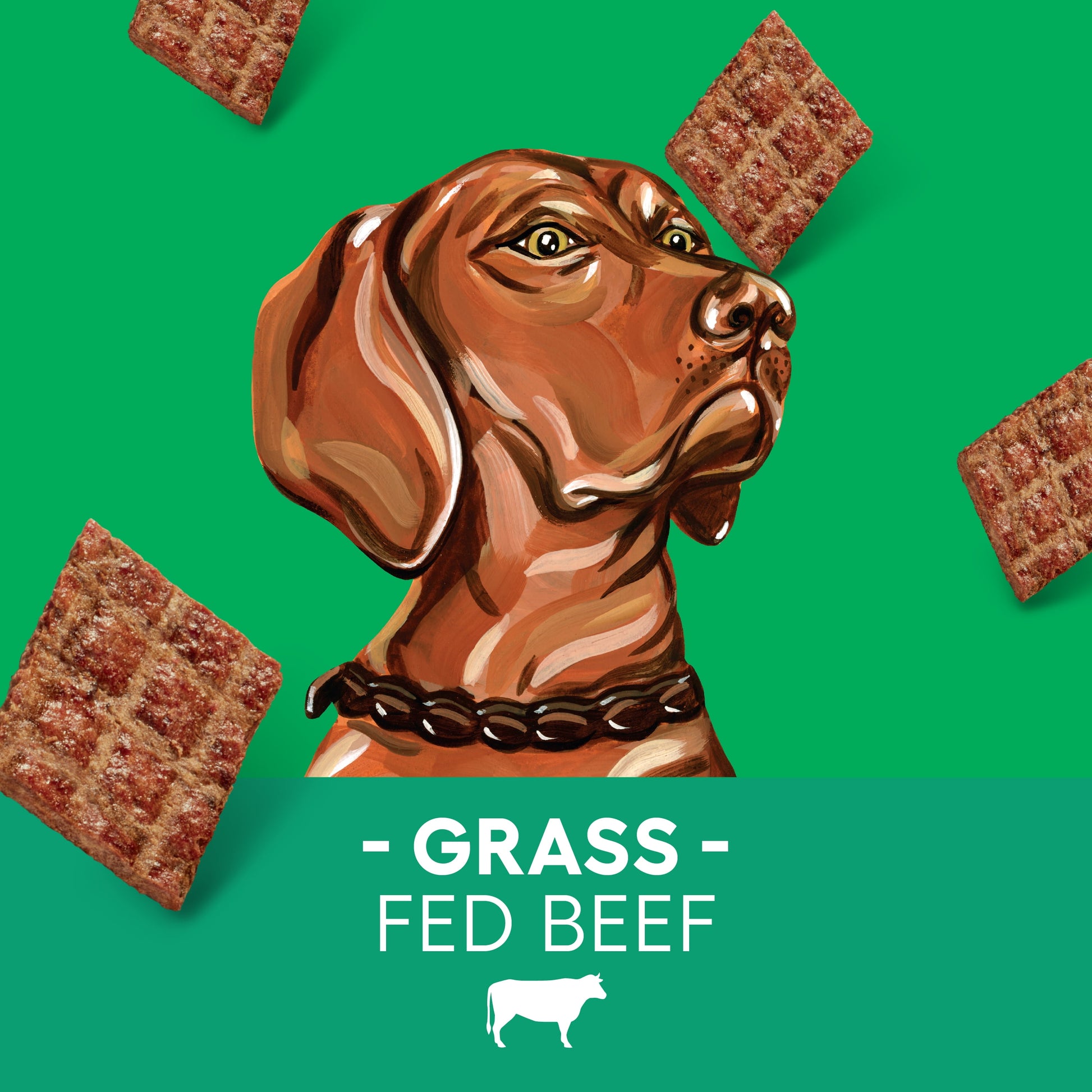 Original Recipe Grass Fed Beef Jerky Treats for Dogs, 5Oz Re-Sealable Bag