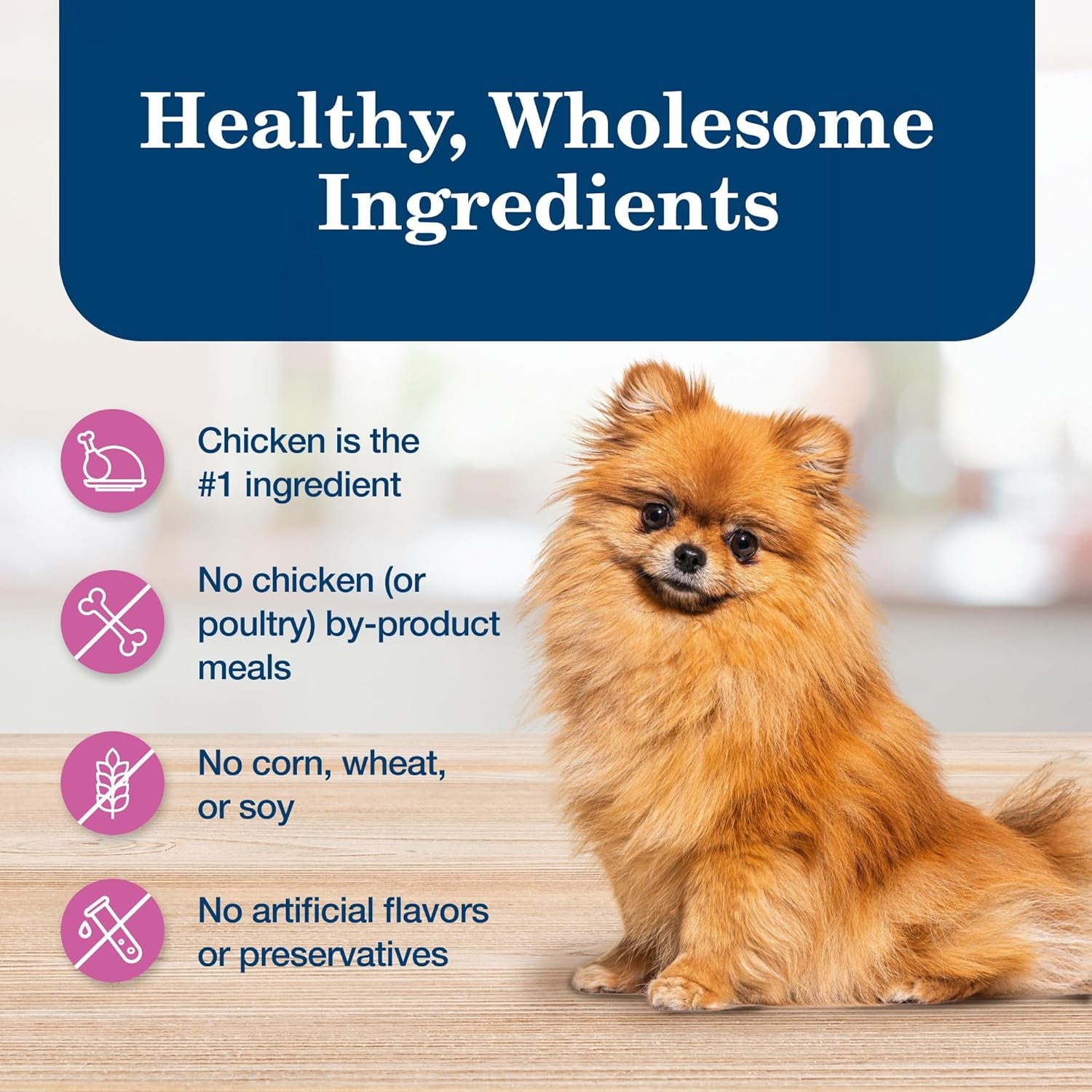 Homestyle Recipe Adult Small Breed Wet Dog Food, Made with Natural Ingredients, Chicken Recipe, 5.5-Oz. Cans (24 Count)