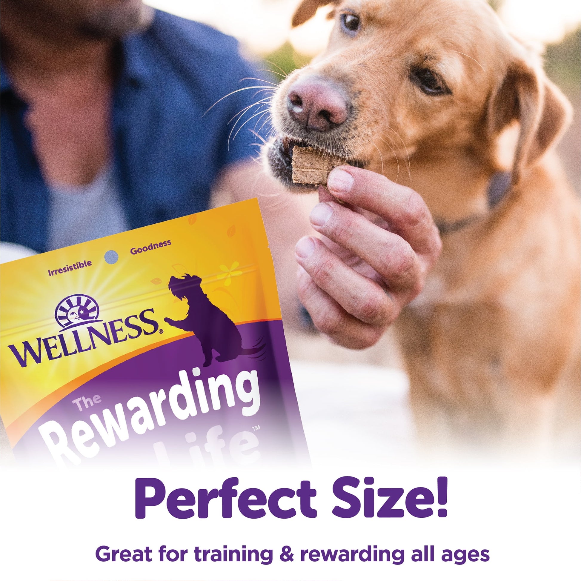 Wellness Rewarding Life Soft & Chewy Dog Treats, Grain Free, Turkey & Duck, 6 Ounce Bag