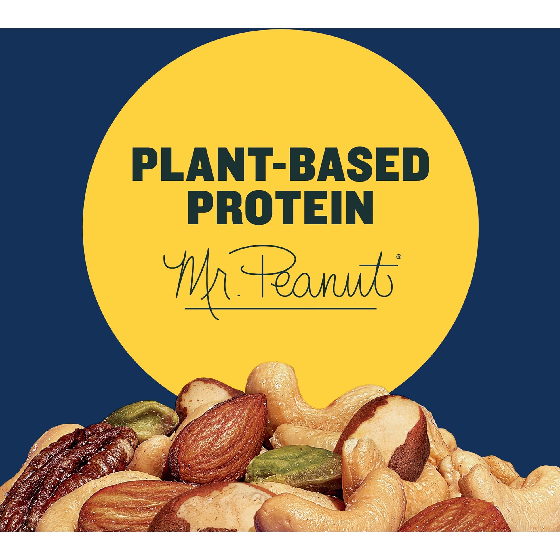 Deluxe Salted Mixed Nuts, Party Snacks, Plant-Based Protein 15.25Oz (1 Canister)