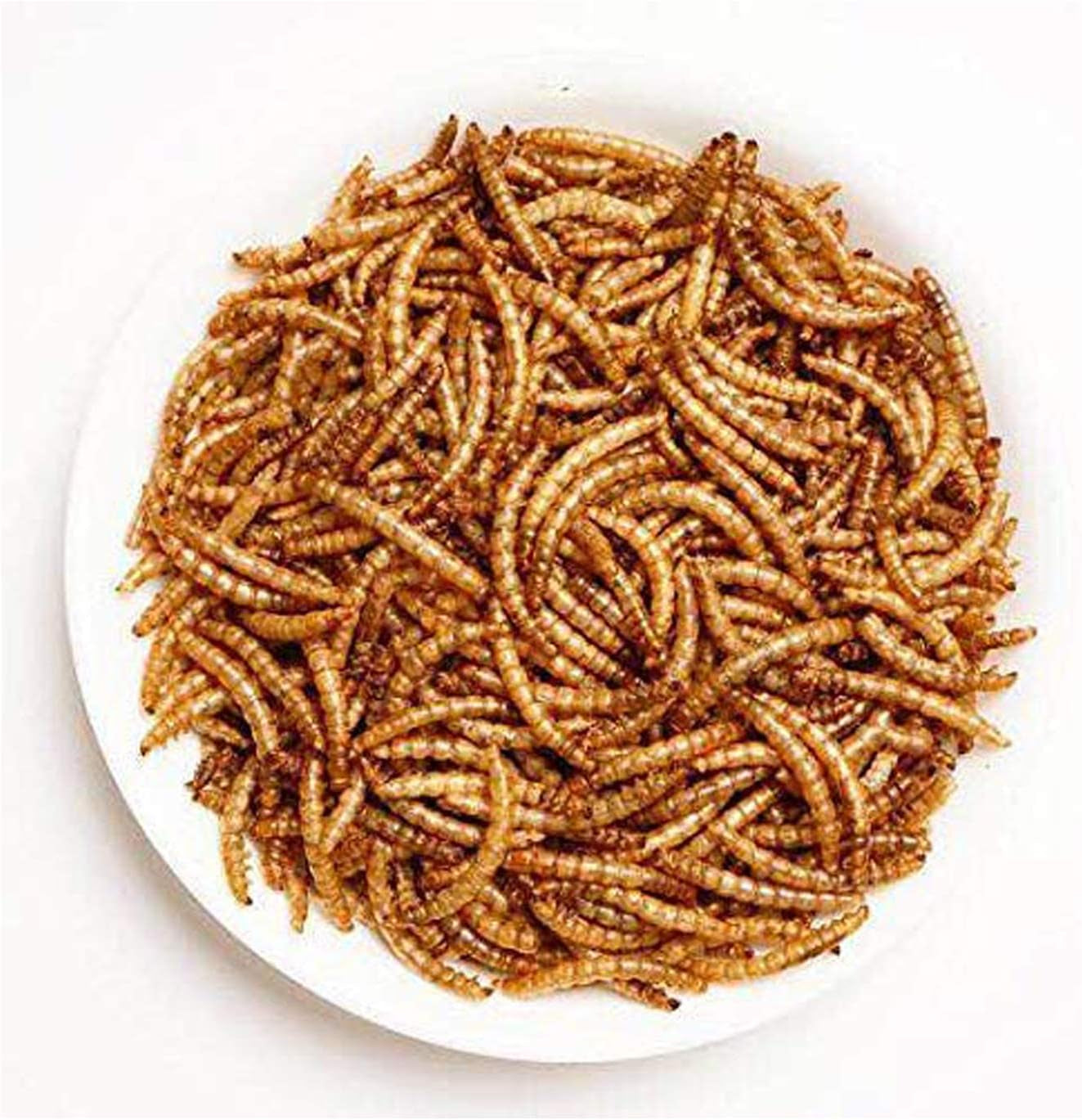 5 LBS- 100% Non-Gmo Dried Mealworms - Large Meal Worms - High Protein Treats- Perfect Mealworm for Chickens, Ducks, Turtles, Blue Birds, Lizards - Bag of Mealworms 5 LBS