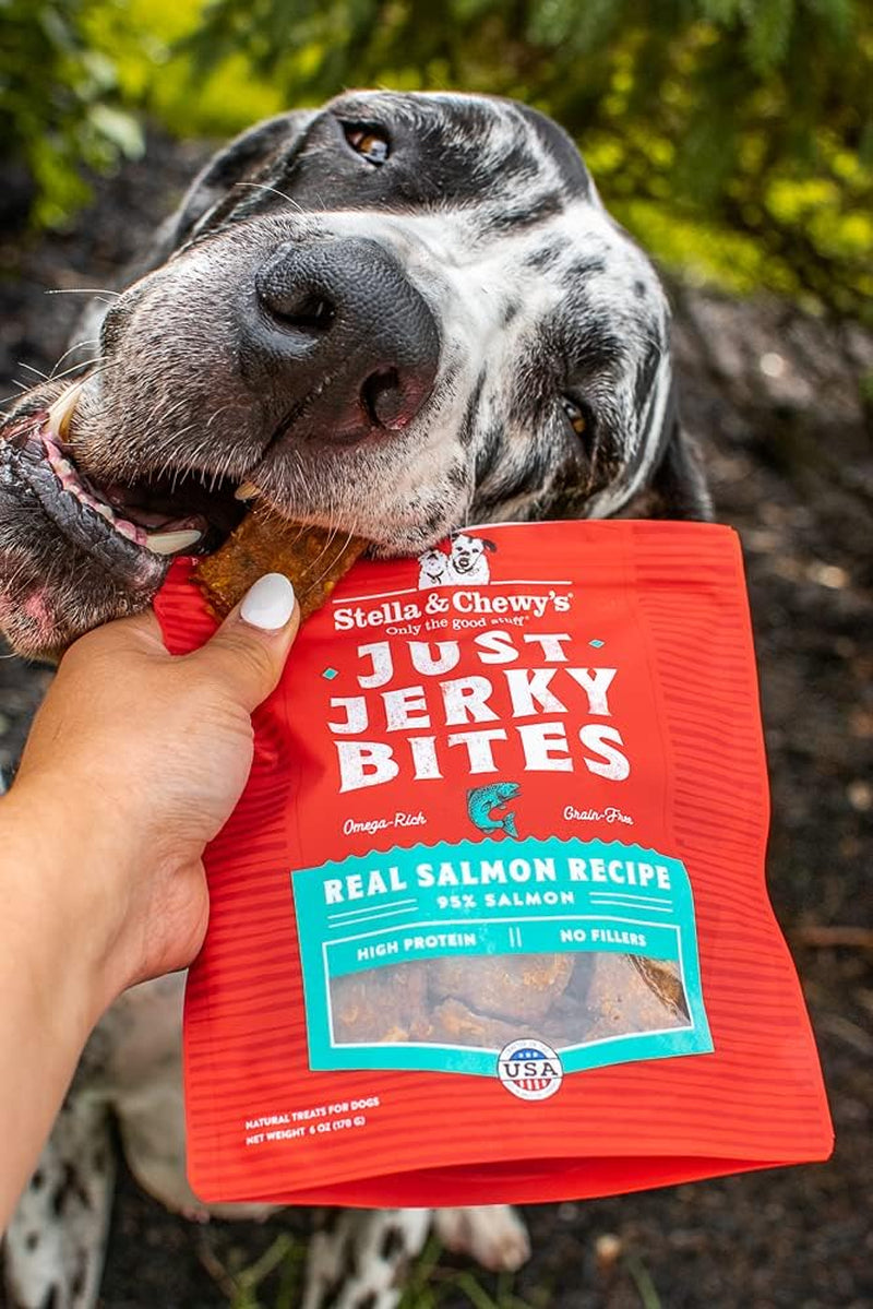 Just Jerky Bites Real Salmon Recipe Dog Treats, 6 Oz. Bag