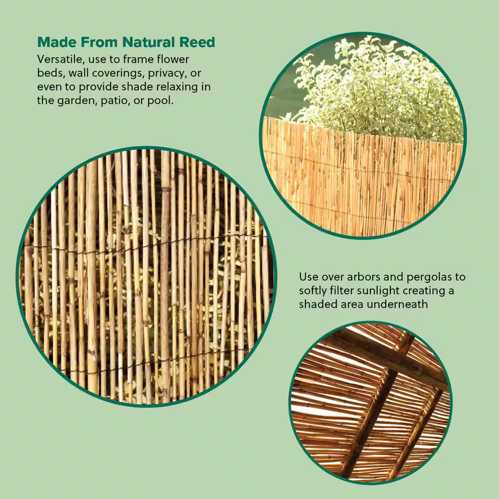 13 Ft. L X 5 Ft. H Decorative Garden Reed Wood Fencing