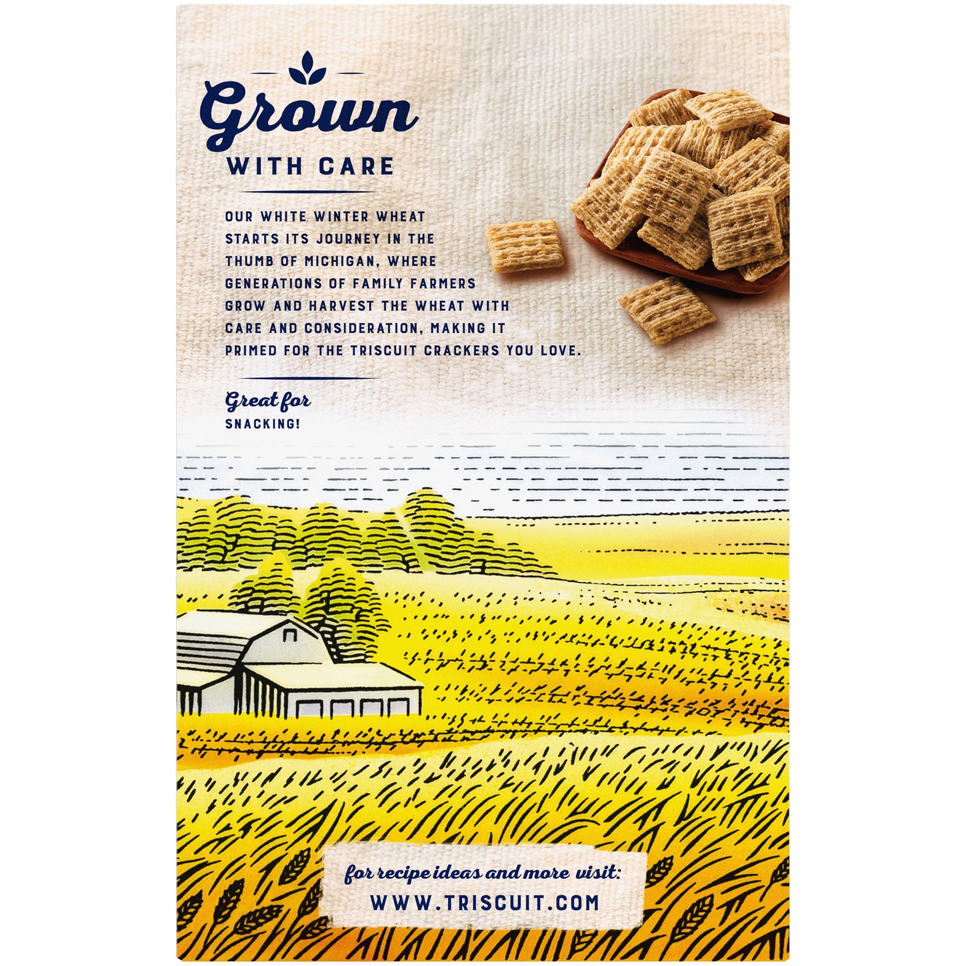 (3 Pack)  Minis Original Whole Grain Wheat Crackers, Vegan Crackers, 8 Oz