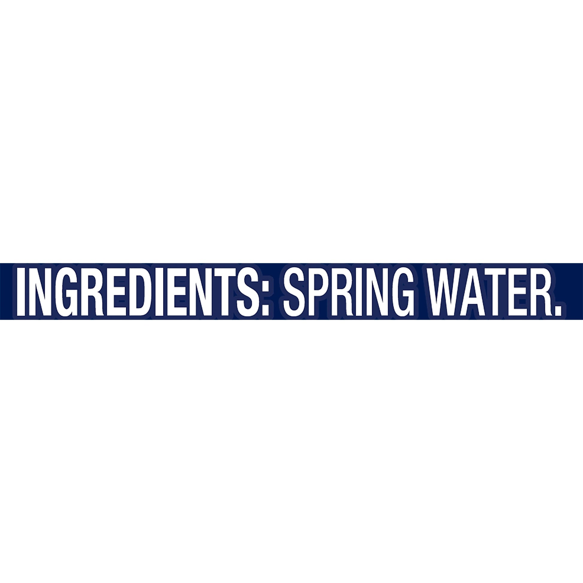 Brand 100% Natural Spring Water, 16.9-Ounce Plastic Bottles (Pack of 24)