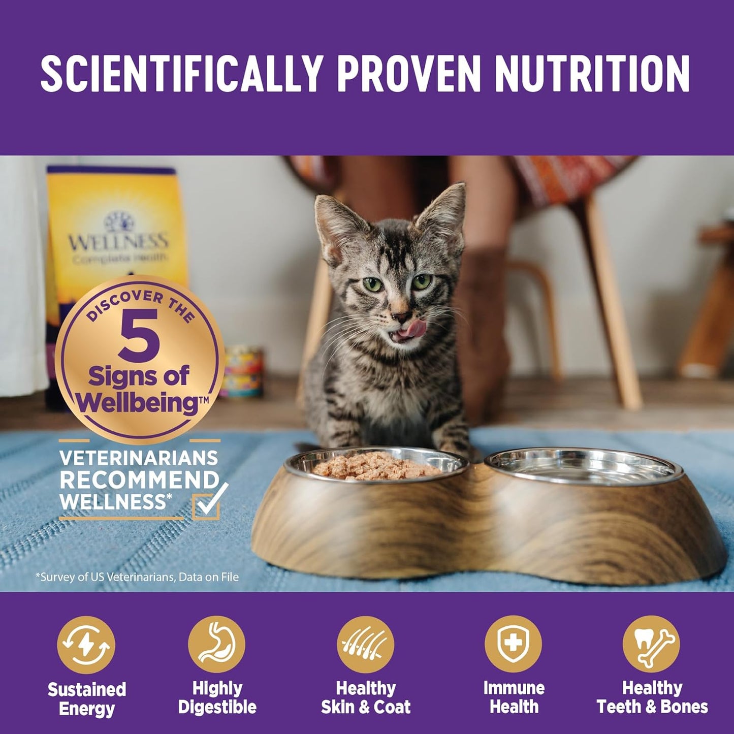 Complete Health Gravies Natural Grain Free Wet Canned Cat Food, Chicken Dinner in Ample Gravy, 3 Ounces (Pack of 12)