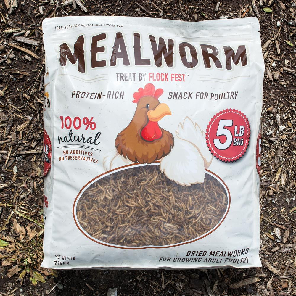 Dried Mealworms for Chickens, Wild Birds, Ducks, and Small Pets, 5 Lbs. Bag