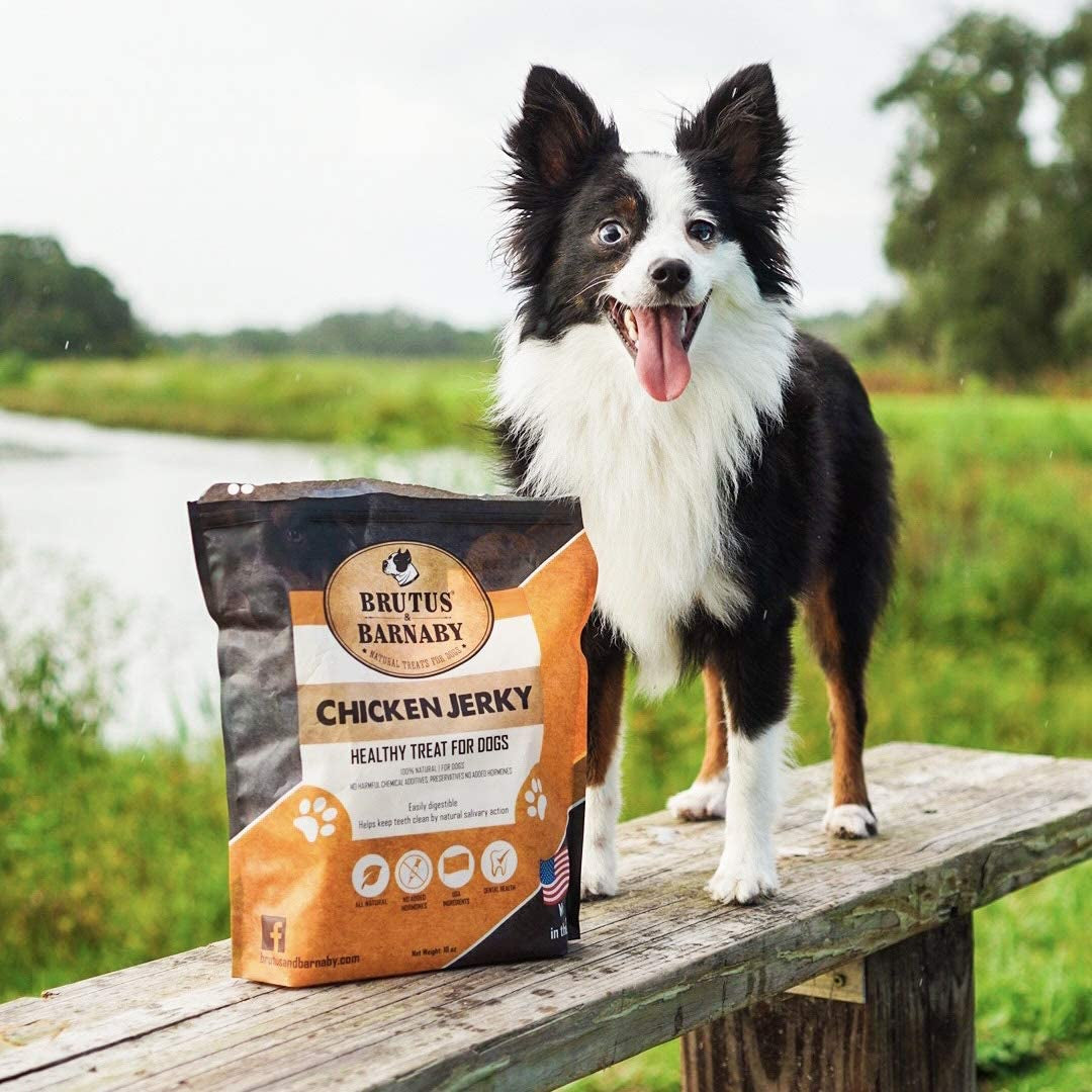 Chicken Jerky Dog Treats- Dehydrated Crunchy USA Premium Fillets, Grain-Free, Preservative-Free, No Fillers. All Natural Chicken Strips Are Great for Dogs and Cats (10Oz)