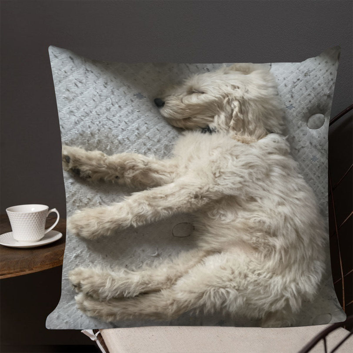 Throw Pillow - Square