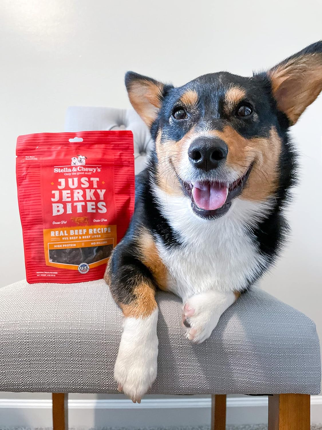 Just Jerky Bites Real Salmon Recipe Dog Treats, 6 Oz. Bag