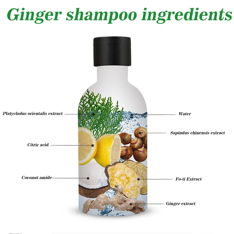 Ginger Hair Shampoo Conditioner Set Anti Hair Loss Moisturizing Hair Damage Repair Natural Herbal Extract Hair Care Product