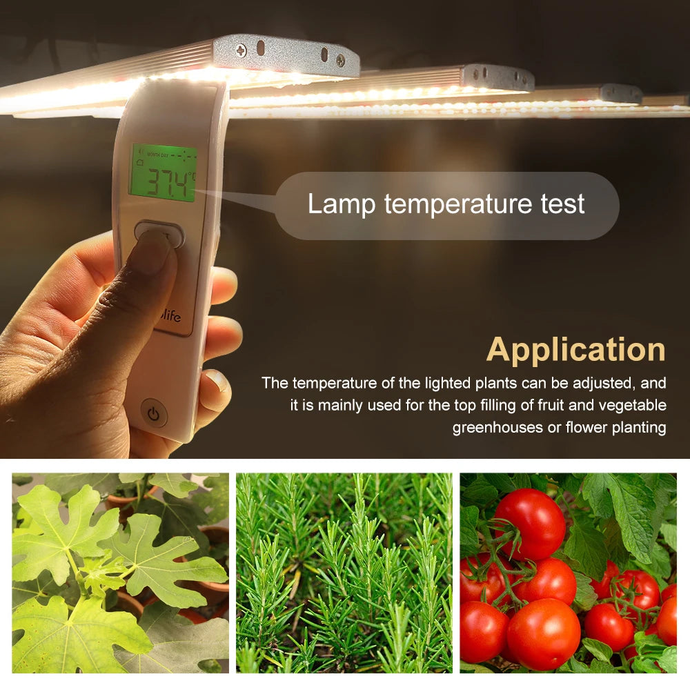 LED Grow Lights for Indoor Plants 5x5ft Full Spectrum Phytolamp Grow Light Greenhouse Planting Hydroponics Growing System 3.0 µ