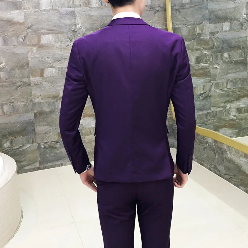 (10 colors) jacket + pants + vest / suit suit men's business professional tooling 3 sets, groom wedding dress host costumes