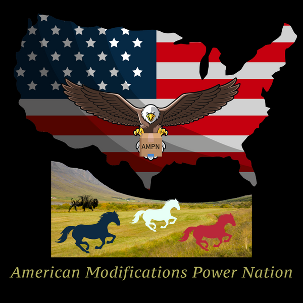 American Modifications Power Nation LLC