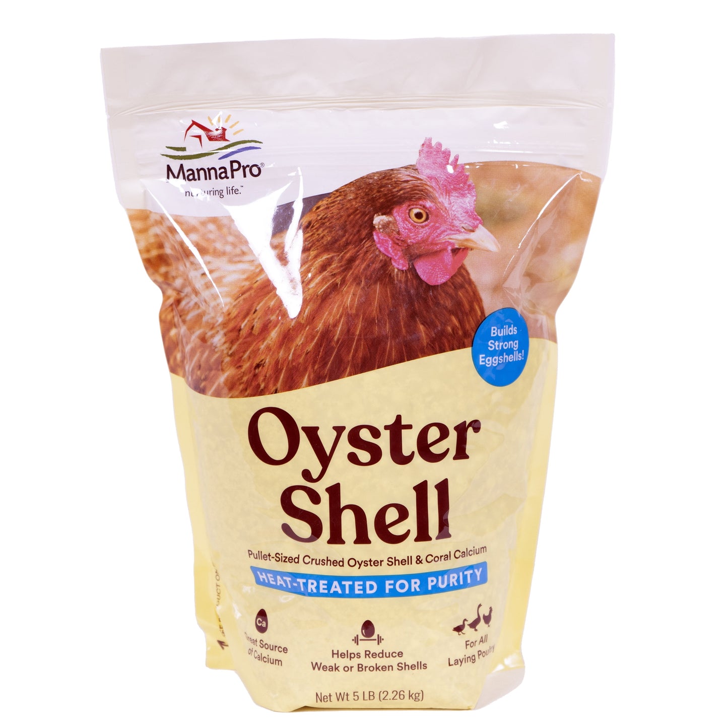 OYSTER SHELL