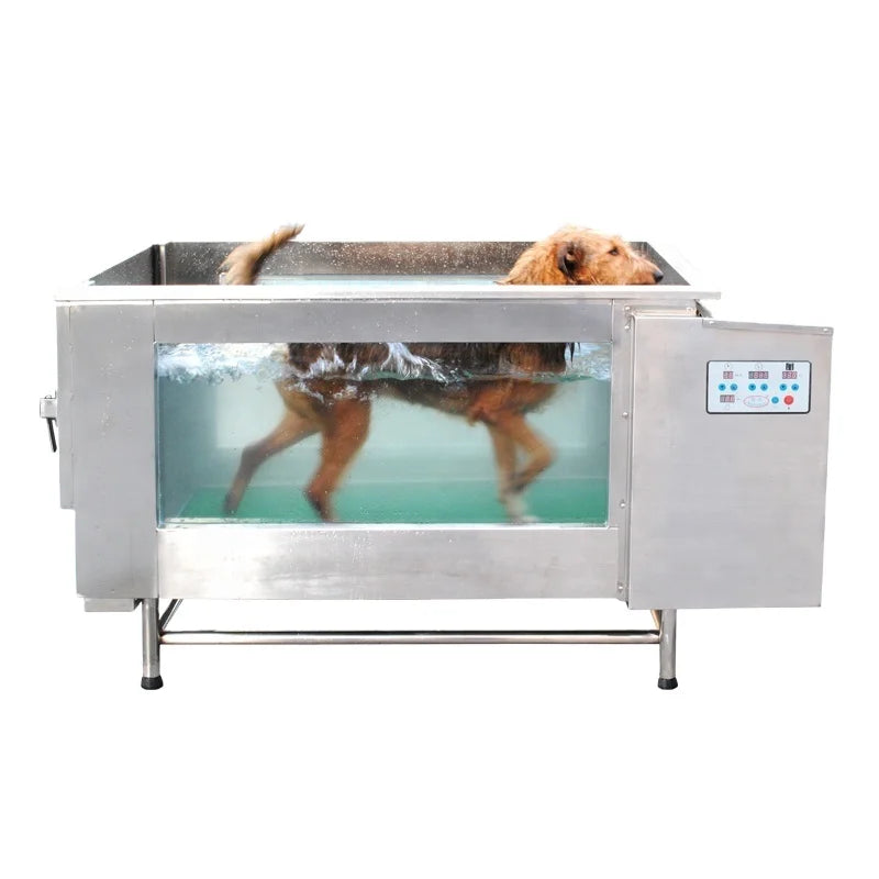 Underwater DOG Treadmill Rehabilitation Machine Underwater Hydrotherapy Dog Water Treadmill