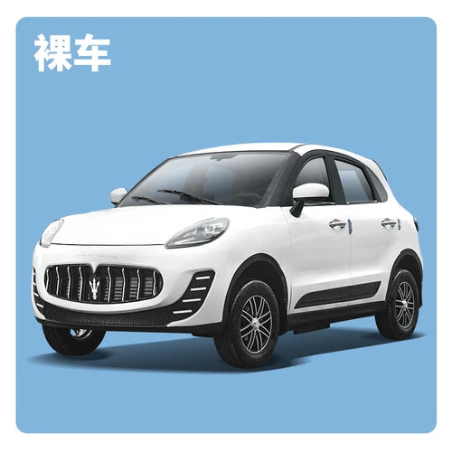 Customized new four-wheel electric vehicle for home use, old man, adult car, lady, small gasoline electric scooter, battery car