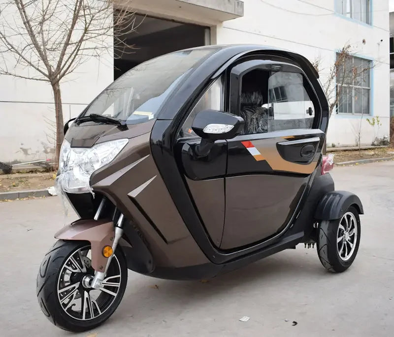 Mini electric tricycle for disabled people/ handicapped with air conditioner custom