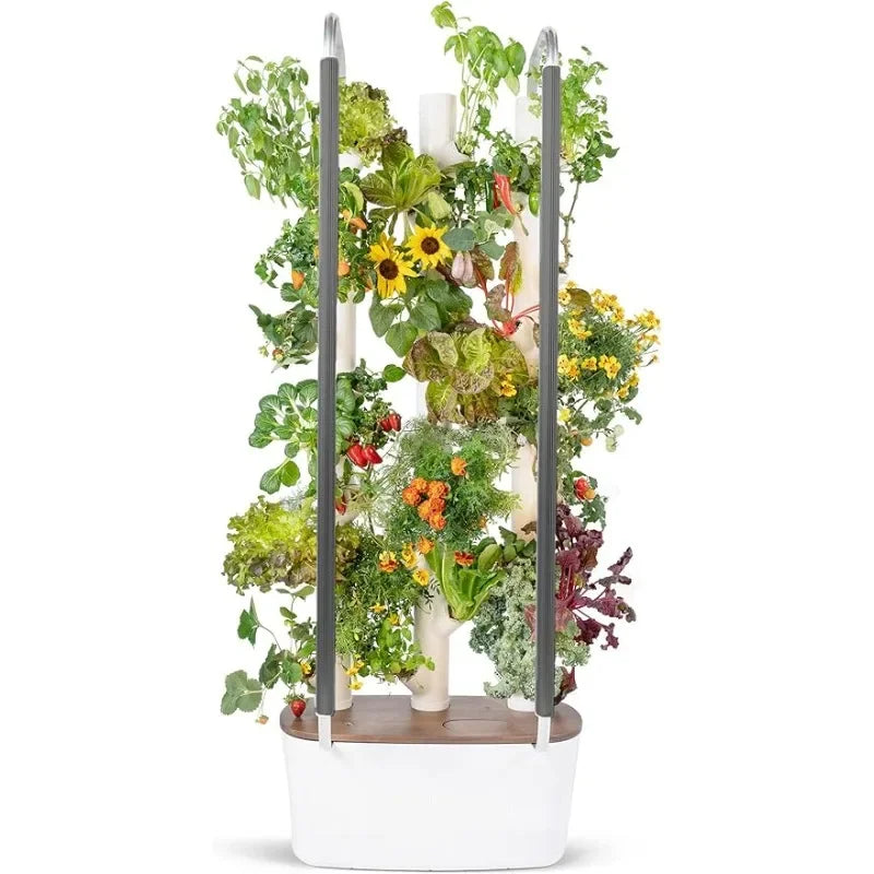 Gardyn 3.0 Hydroponics Growing System & Vertical Garden Planter | Indoor Smart Garden| Includes 30 Non-GMO Indoor Plants