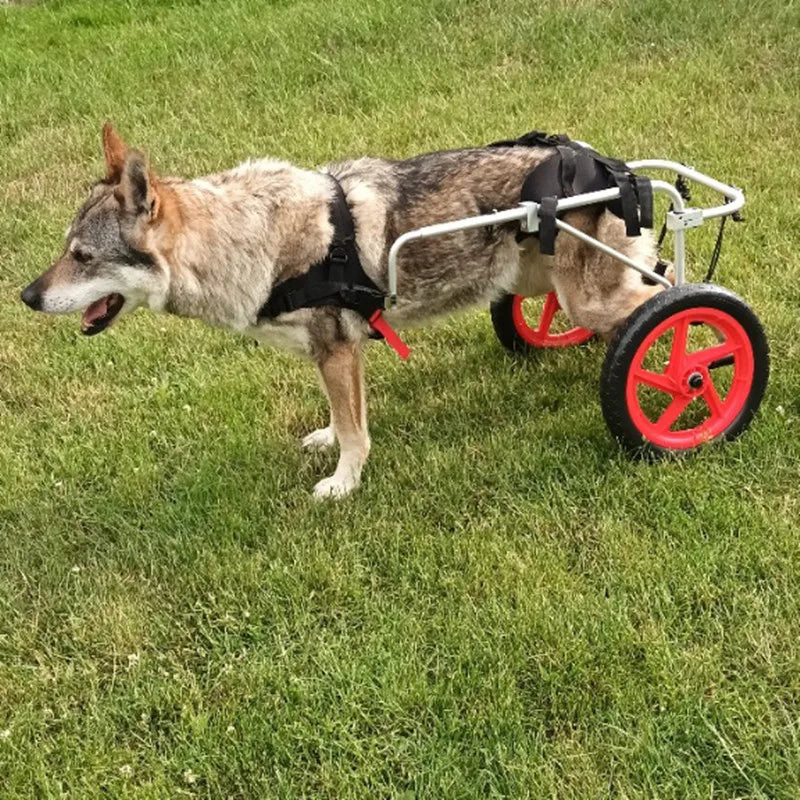 Wheelchair for Back Legs Adjustable Rehabilitation DOGCat Wheelchair Lightweight Wheelchair for Disabled Dogs Walking Tools