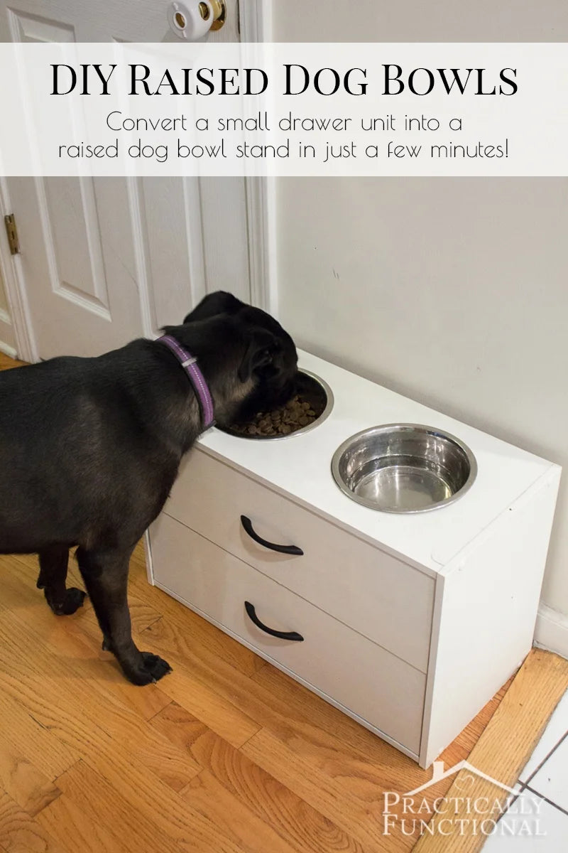 Automatic Feeders 2 Bowl Dog Feeding Station with Drawer - Raised Dog Bowl Pet Bowls & Feeders Automatic Feeders & Waterers All-season 7-15 Days