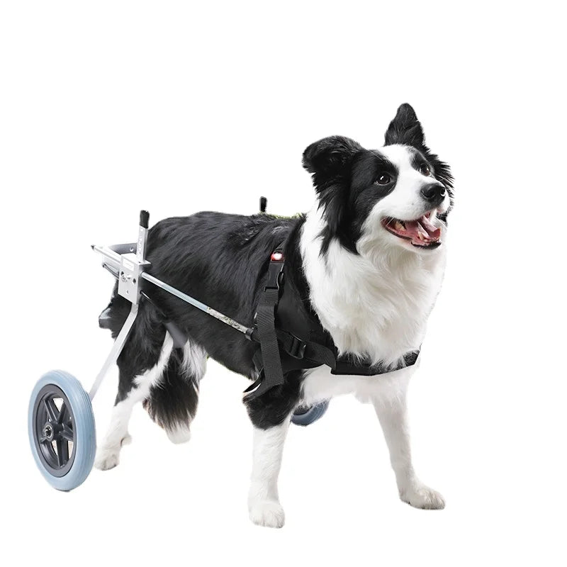 Wheelchair for Back Legs Adjustable Rehabilitation DOGCat Wheelchair Lightweight Wheelchair for Disabled Dogs Walking Tools
