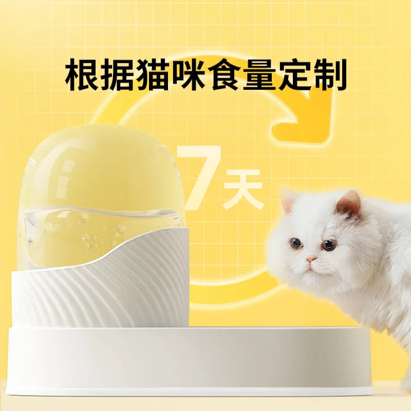 Automatic Feeding Water Bowl Transparent Pet Food Storage Dispenser Container Puppy Kitten Accessories