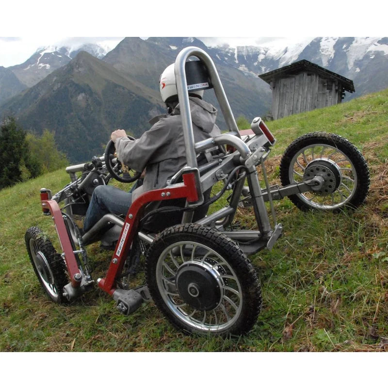 Spider crawler all-terrain off-road UTV 48KM/H electric All terrain vehicle