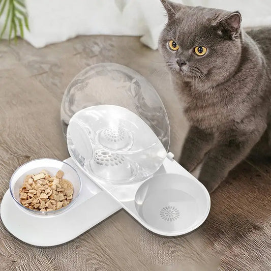 Automatic Water Dispenser Kitten Feeder Drinking Bowl pet Water Fountain Filter Indoor Pet Accessories