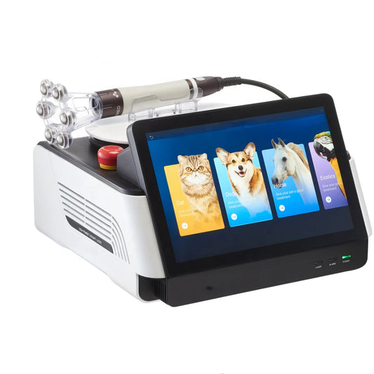 Rehabilitation Therapy Supplies Physical Therapy Equipment Veterinary Laser for Pets and Larger Animals