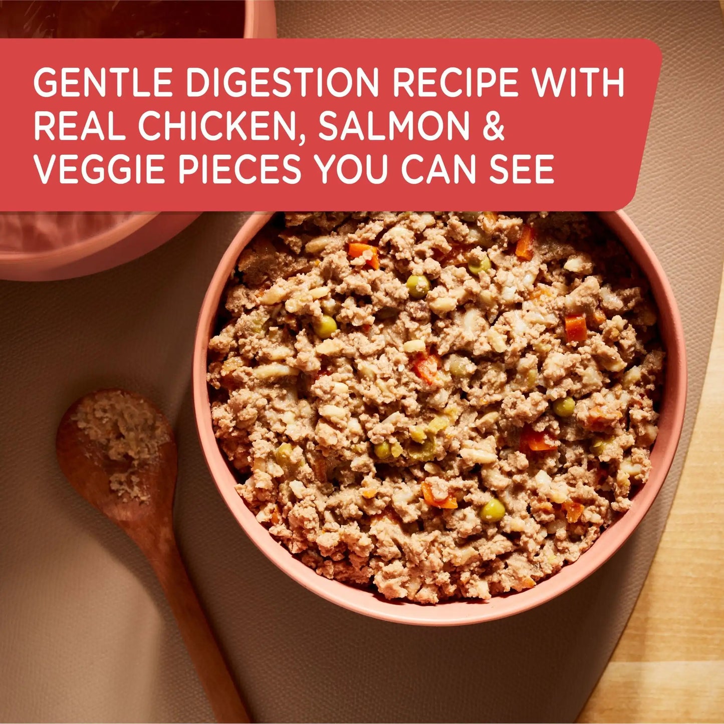 Rachael Ray Nutrish Premium Paté Gentle Digestion Real Chicken, Pumpkin & Salmon Recipe Wet Dog Food, 13 oz. Can, 12 Count