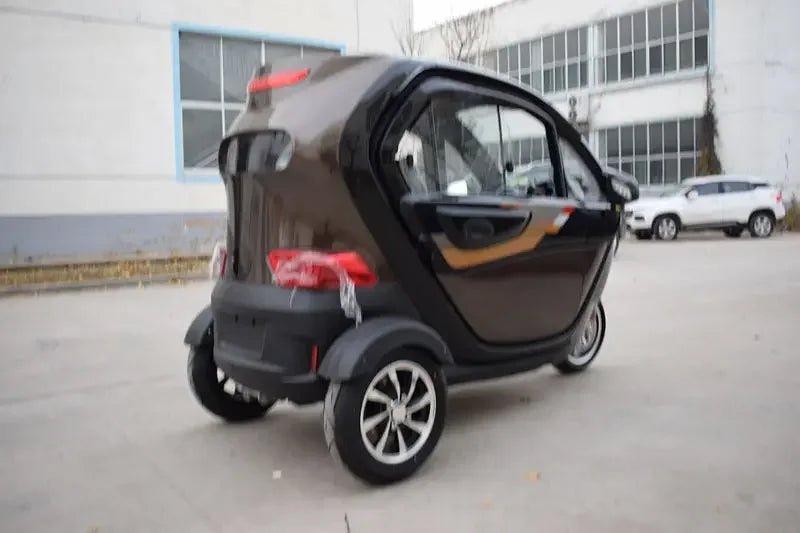 Mini electric tricycle for disabled people/ handicapped with air conditioner custom