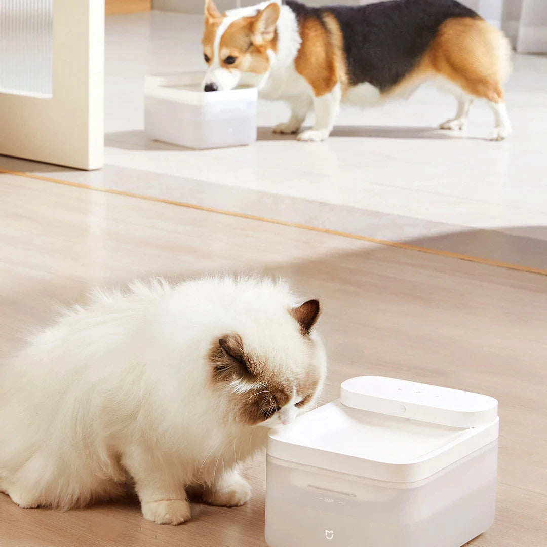 Mijia Wireless Smart Pet Water Drinking Dispenser Fountain Dog Cat Automatic Pet Mute Drink Feeder Bowl Works with Mijia APP