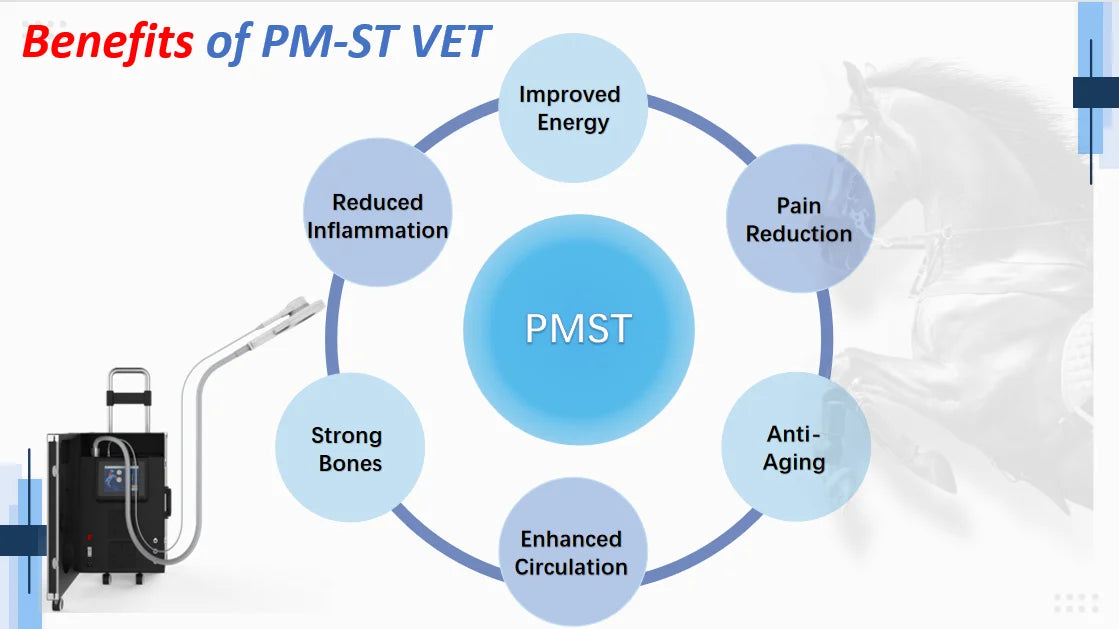 Professional Physical Therapy Rehabilitation Magnetic PMST NEO Vet Magnetic Field Therapy