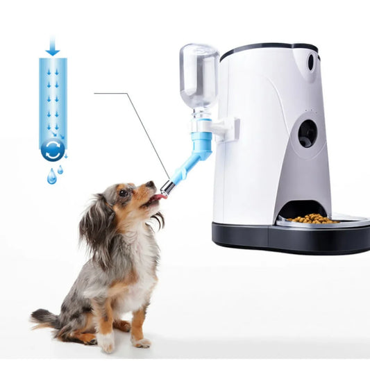 Automatic Cat Food Dispenser Drinking Water Bowl Pet Supplies Wet and Dry Separation Dog Food Container