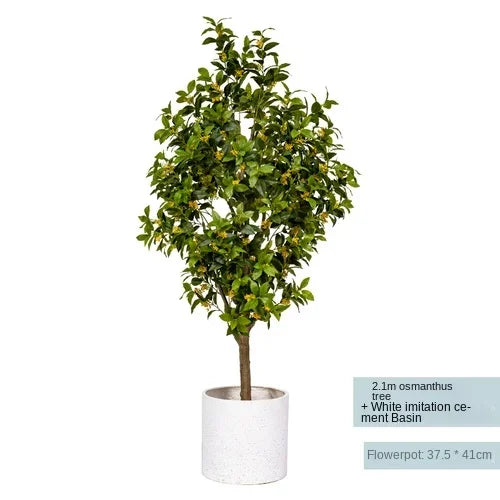 Osmanthus Tree Green Plant Fake Trees Potted Indoor Living Room Landscape Floor Bionic Bonsai