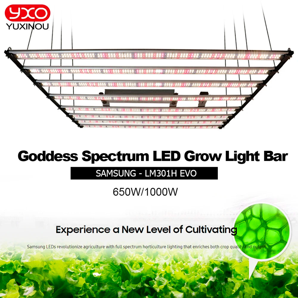 1000W Samsung LED LM301H EVO Quantum LED Grow Light Bar UV IR Turn On/Off Phyto Lamp For Indoor Plants Flowers Greenhouse Seeds