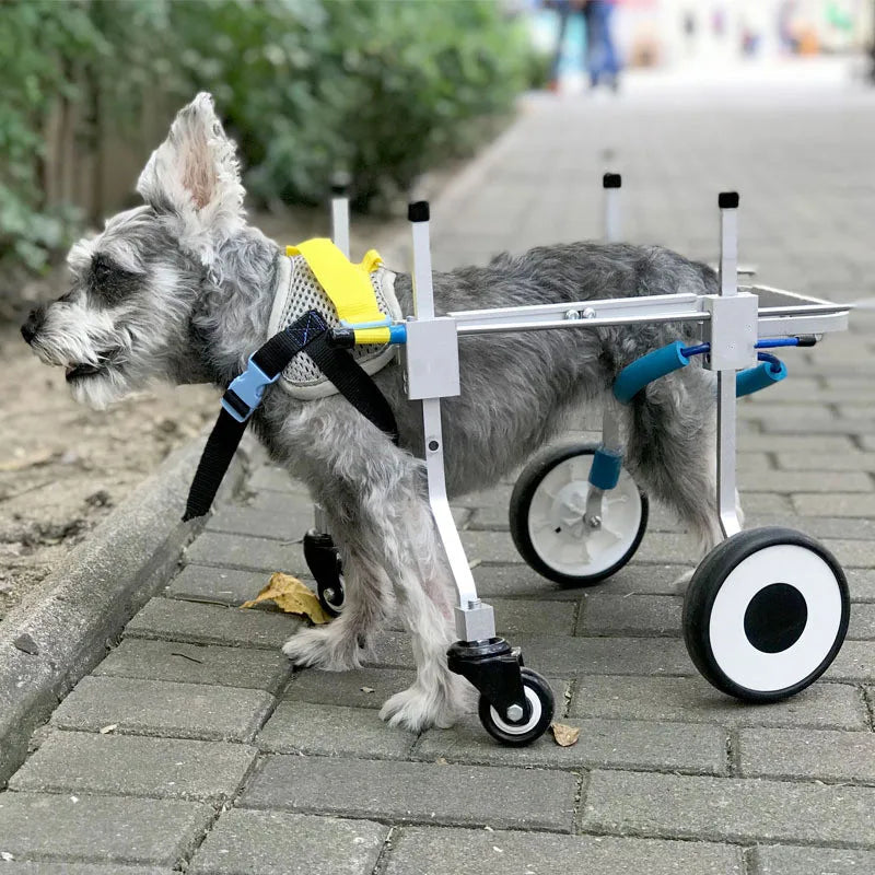 Wheelchair Auxiliary Rehabilitation Dog Wheelchair 4 Wheels Wheelchairs Dogs For Back Legs