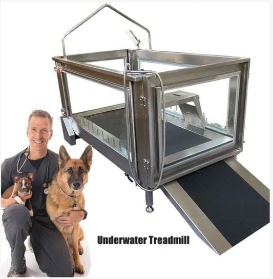 Dog Rehabilitation Machine Underwater Treadmill Device Pet Hydrotherapy Water Treadmill