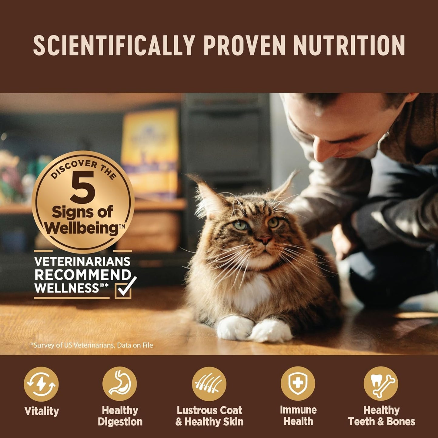 CORE Grain-Free Signature Selects Wet Cat Food, Natural Pet Food Made with Real Meat (Chunky Beef & Chicken, 2.8-Ounce, Pack of 12)