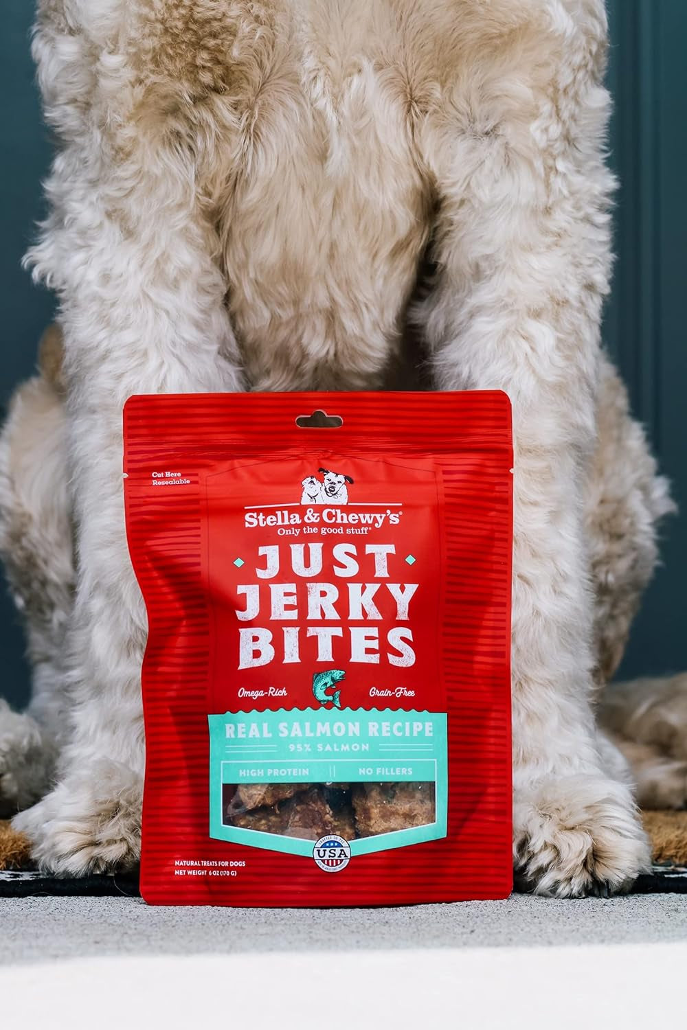 Just Jerky Bites Real Salmon Recipe Dog Treats, 6 Oz. Bag