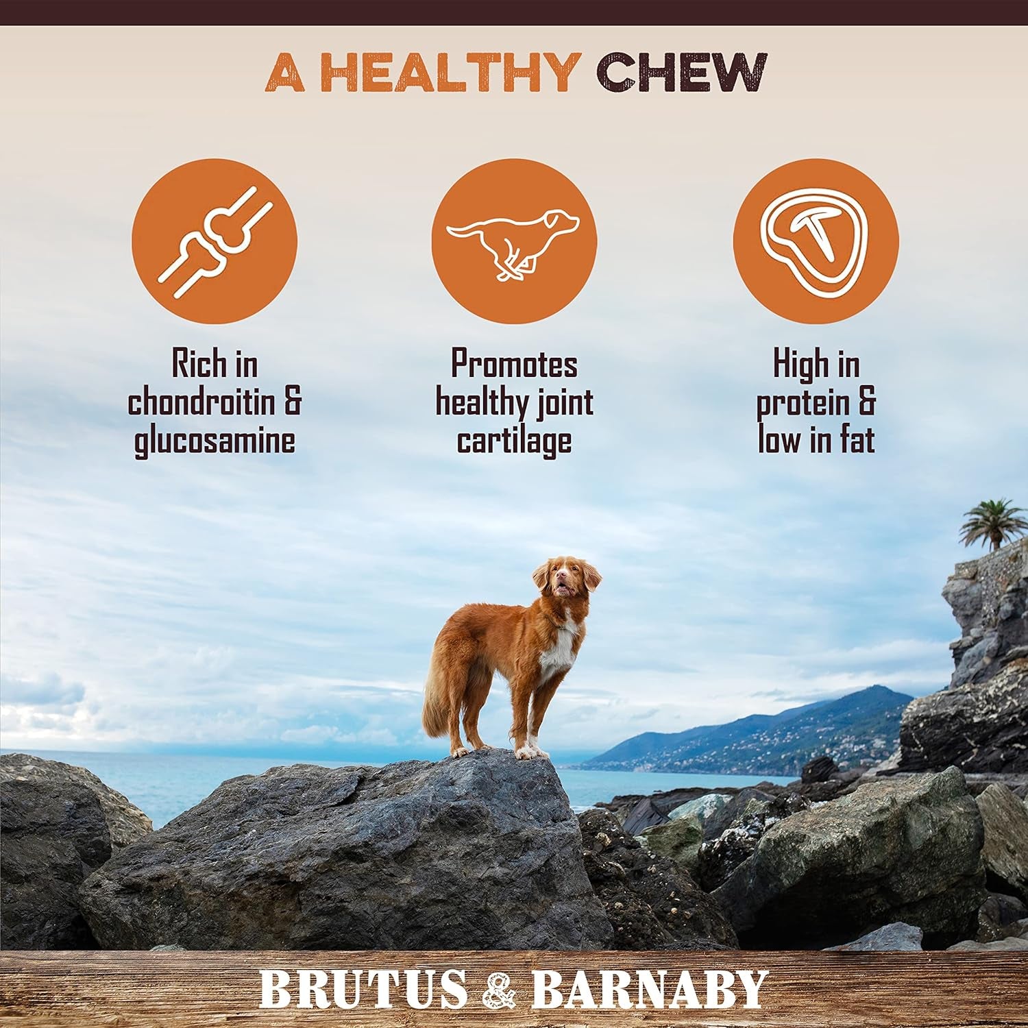 Beef Jerky for Dogs, All Natural Single Ingredient Beef Esophagus Chews, Healthy Beef Flat Gullet Strips, Naturally Occurring Glucosamine & Chondroitin Helps Joint Function, Great for Any Dog Size