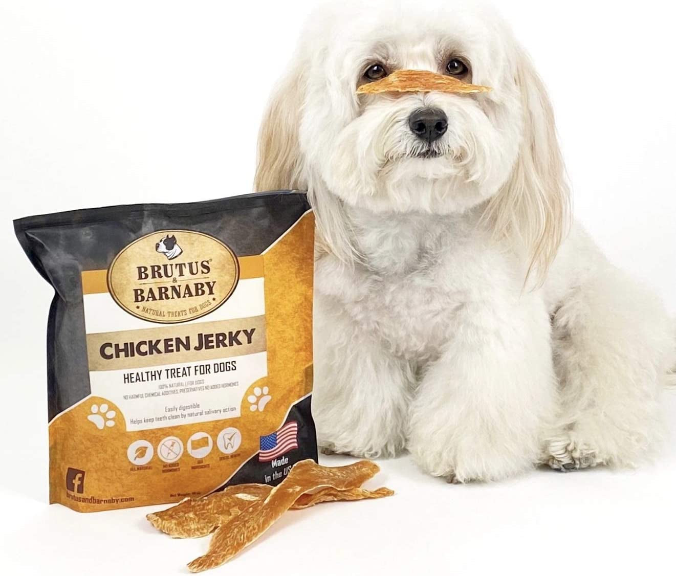 Chicken Jerky Dog Treats- Dehydrated Crunchy USA Premium Fillets, Grain-Free, Preservative-Free, No Fillers. All Natural Chicken Strips Are Great for Dogs and Cats (10Oz)