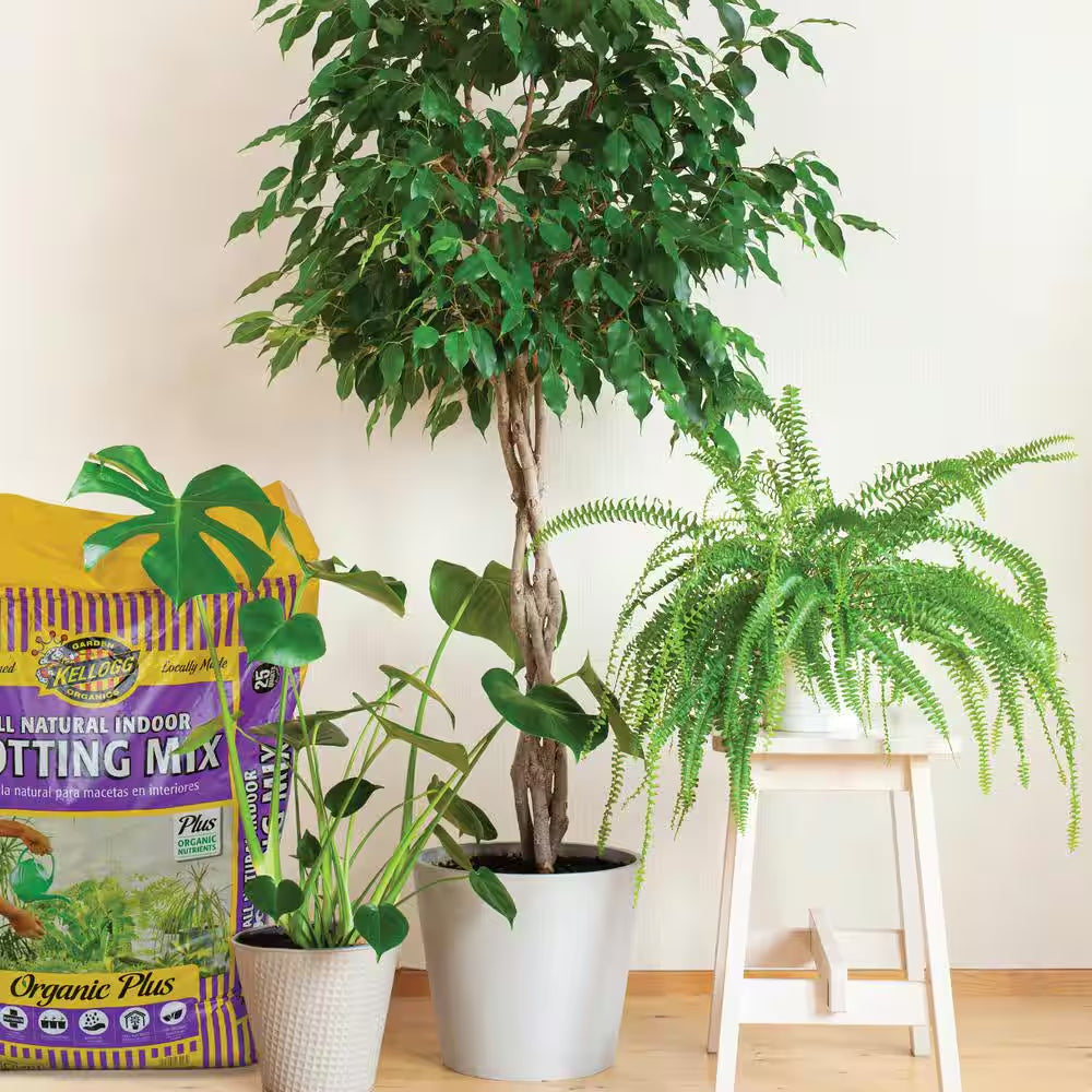 8 Qt. All Natural Indoor Potting Mix